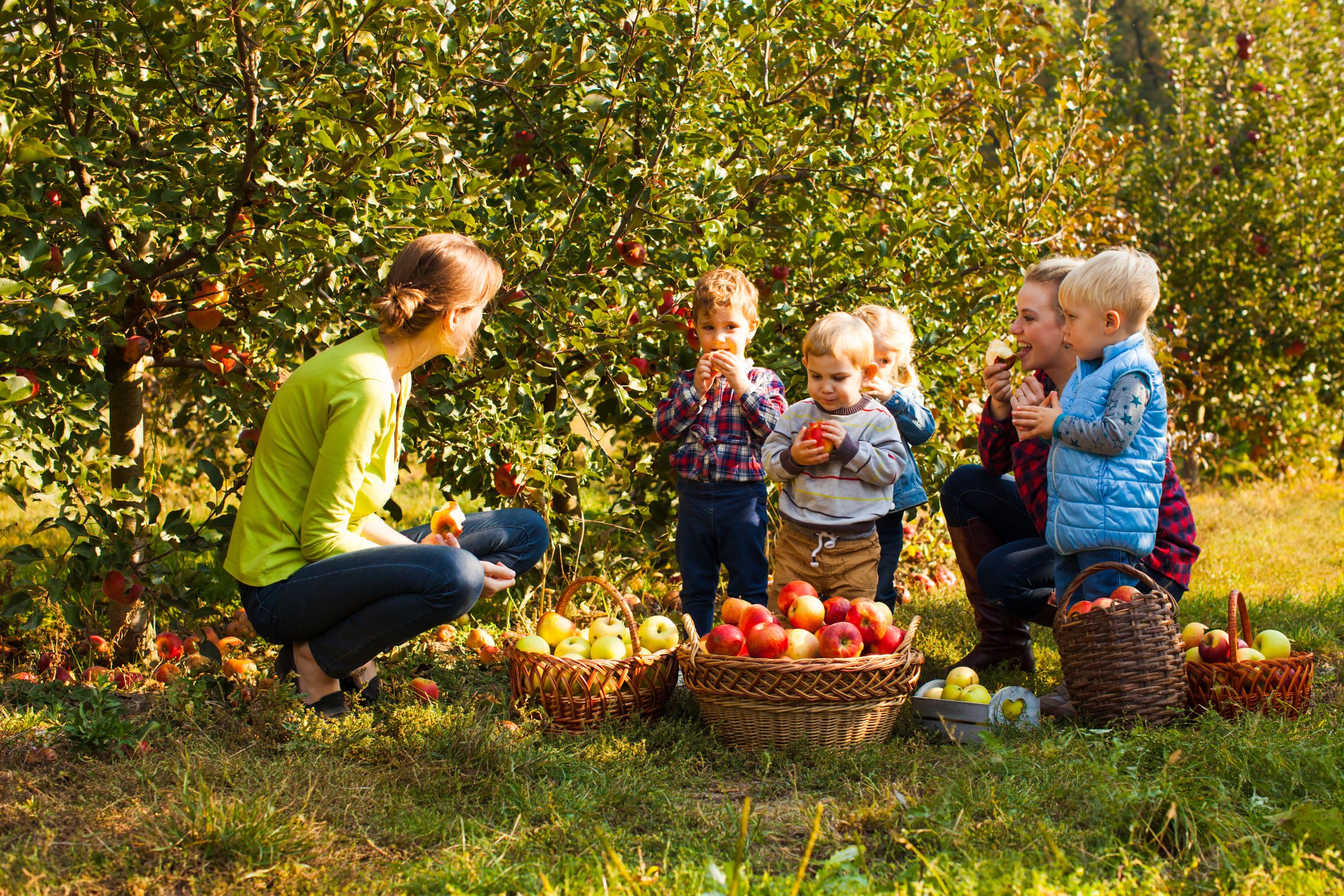 Kinder essen Äpfel